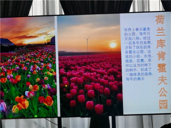 四川中青旅绵阳分社独家定制圆梦欧(ōu)洲系列 - 大全景 9 国 16 天(tiān) 德国-法国-瑞士-意大利-奥地利-荷(hé)兰-比利时-列支敦士登(dēng)-卢(lú)森堡